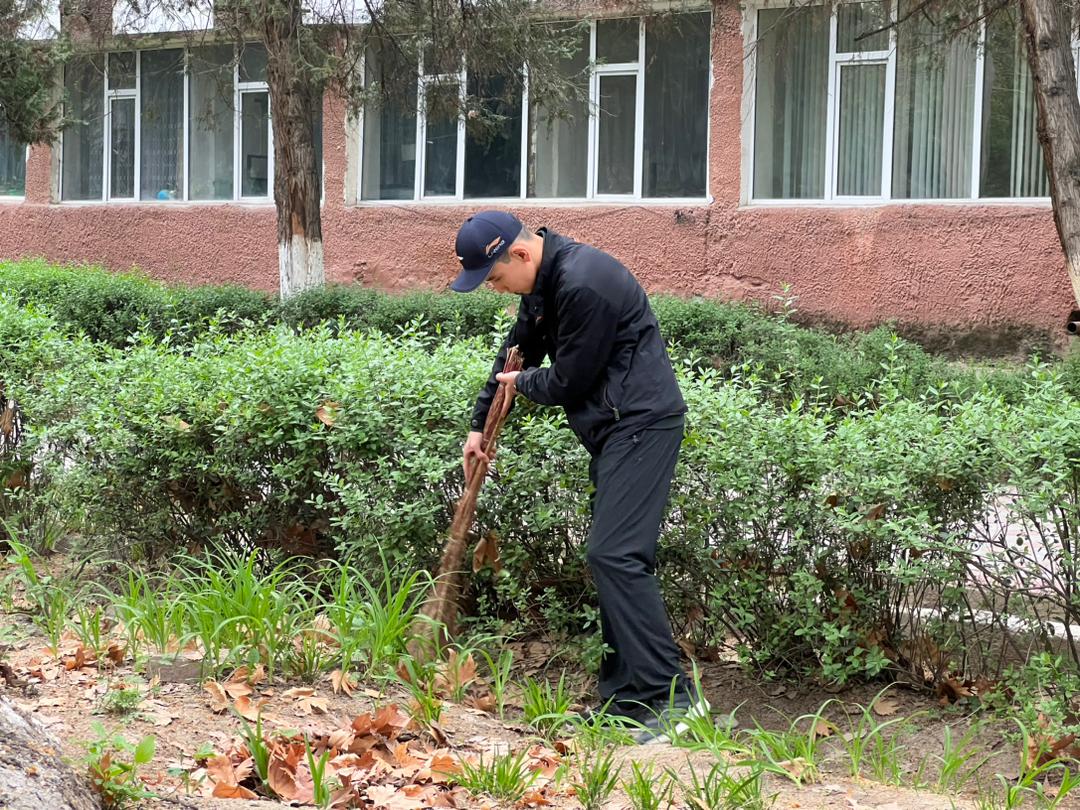 WhatsApp Image 2026-04-04 at 10.54.09 (1)