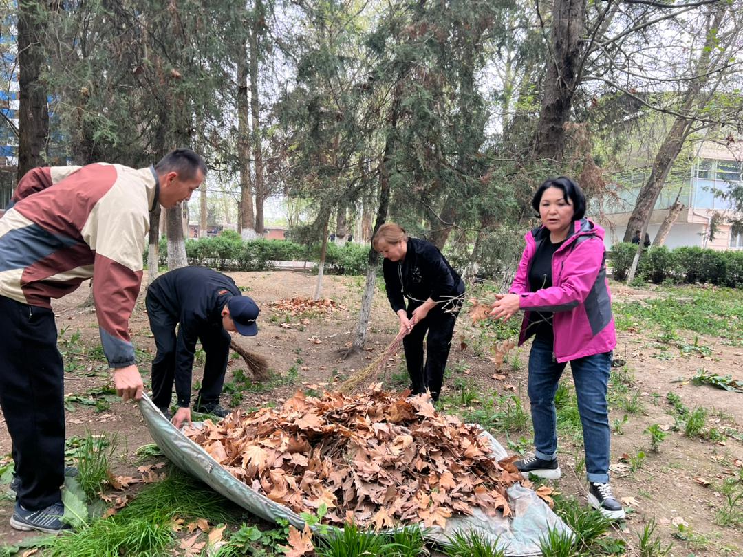 WhatsApp Image 2026-04-04 at 10.54.09