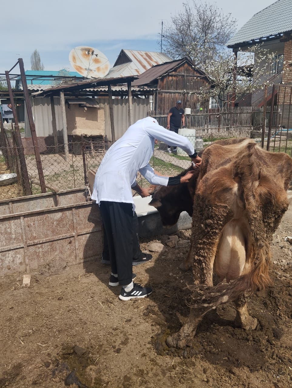 WhatsApp Image 2026-04-07 at 13.49.01 (2)