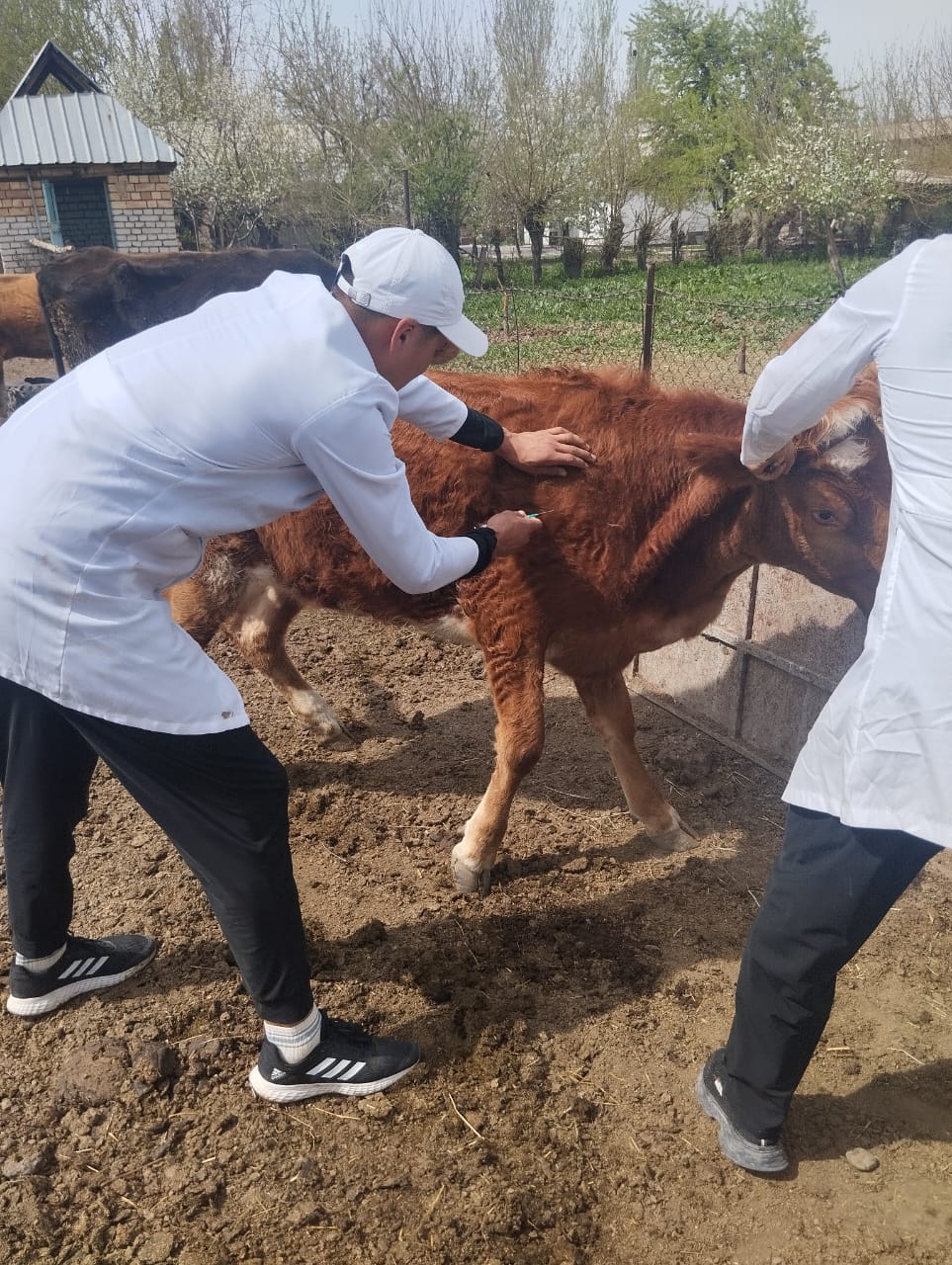 WhatsApp Image 2026-04-07 at 13.49.02