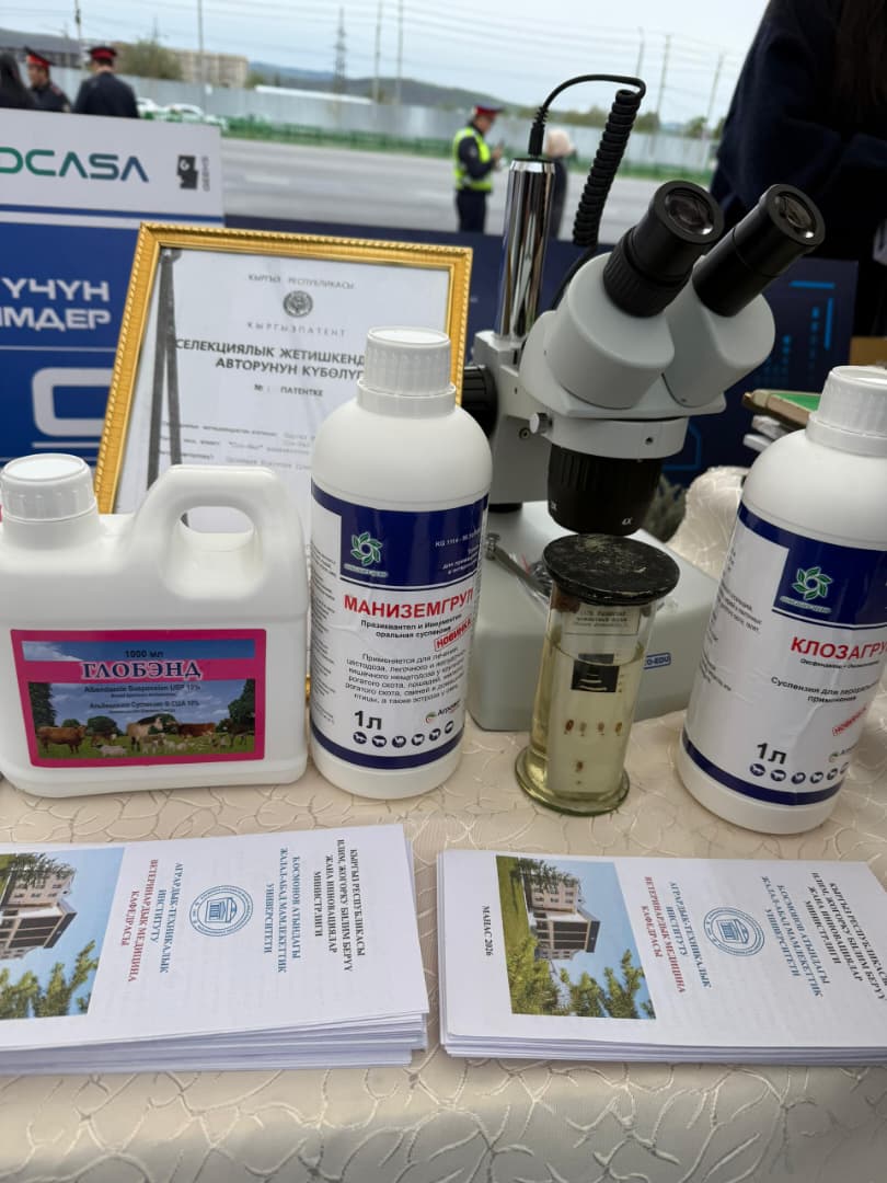 WhatsApp Image 2026-04-10 at 15.23.48