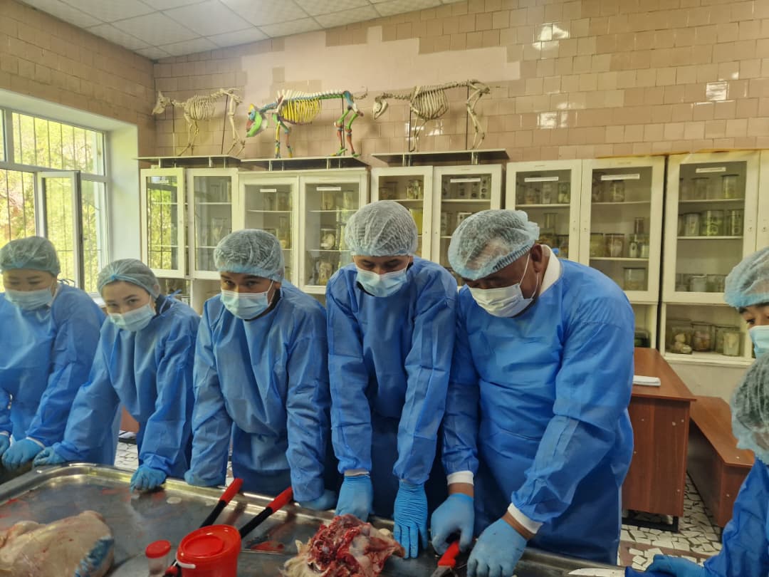 WhatsApp Image 2026-04-21 at 10.37.00