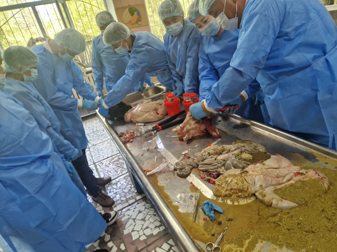 WhatsApp Image 2026-04-21 at 10.37.01 (2)