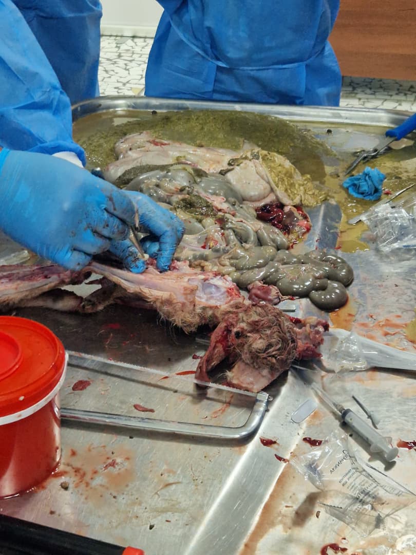 WhatsApp Image 2026-04-21 at 10.37.01 (3)