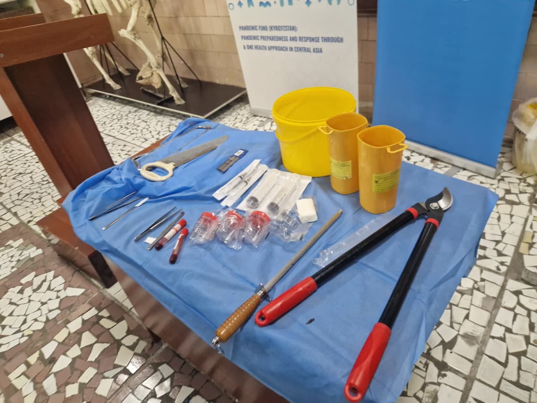 WhatsApp Image 2026-04-21 at 10.37.01