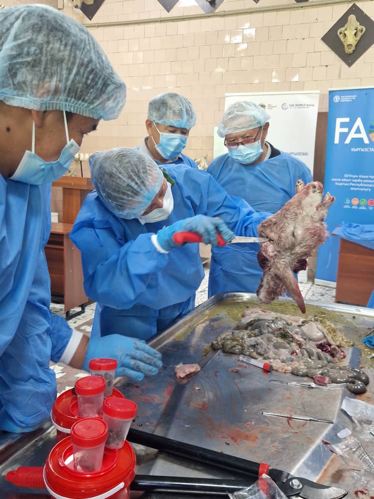 WhatsApp Image 2026-04-21 at 10.37.02 (2)