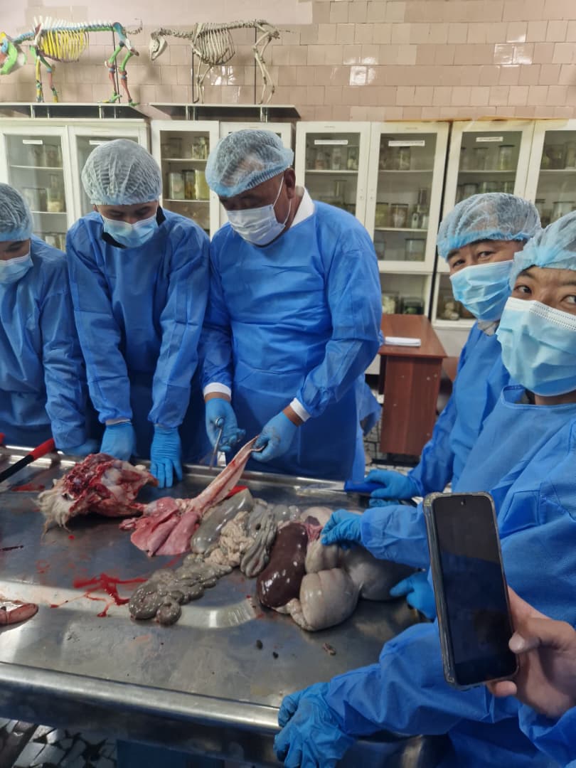 WhatsApp Image 2026-04-21 at 10.37.02 (3)