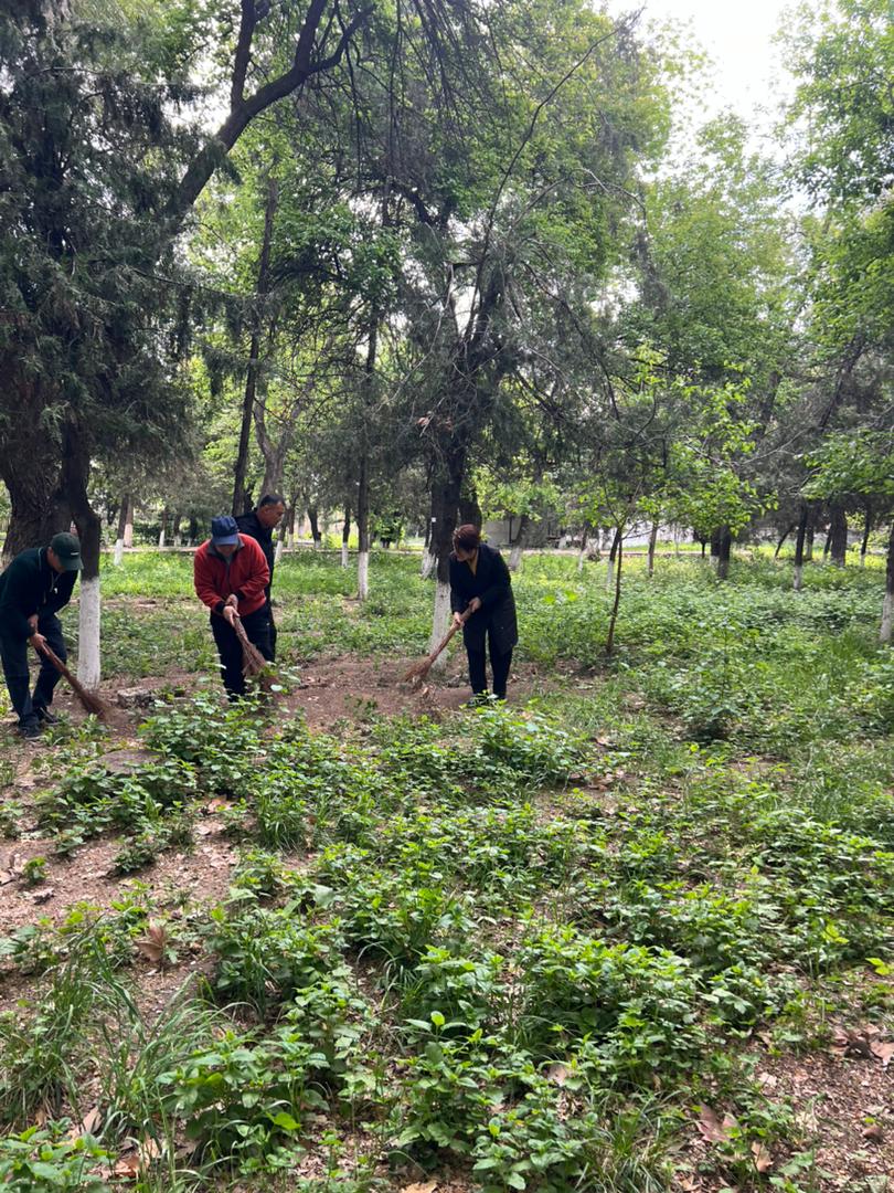 WhatsApp Image 2026-04-21 at 10.54.07 (1)