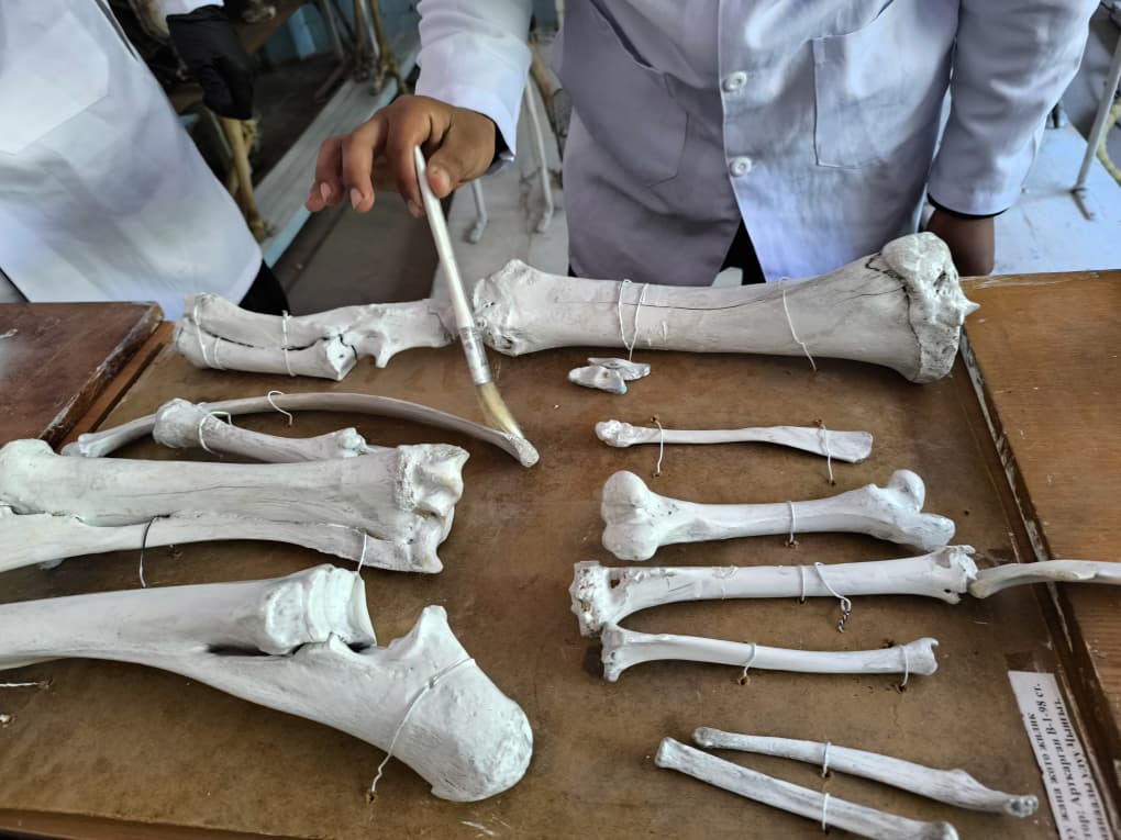 WhatsApp Image 2026-04-24 at 12.50.52