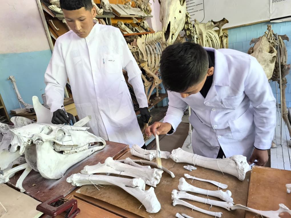 WhatsApp Image 2026-04-24 at 12.50.53 (1)