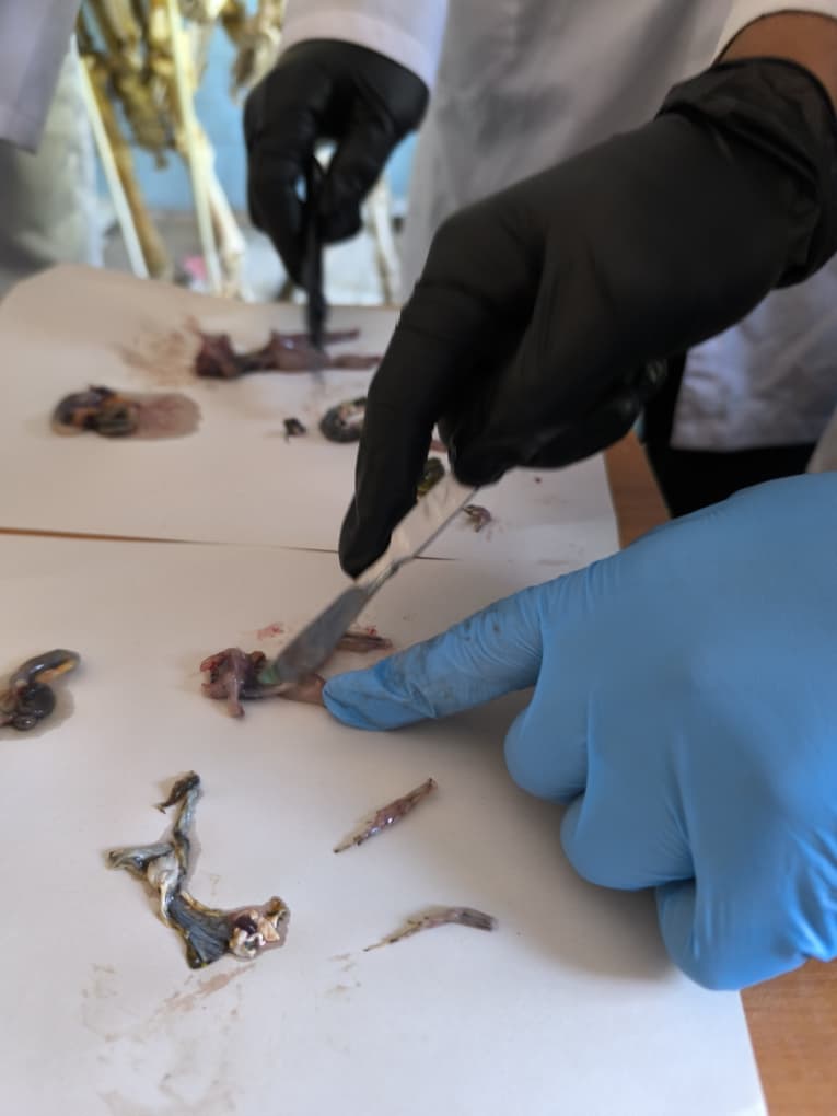 WhatsApp Image 2026-04-24 at 12.50.53 (2)