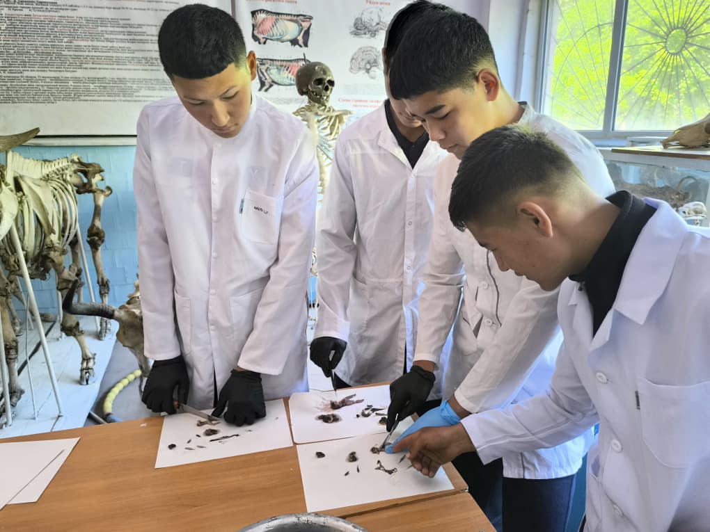 WhatsApp Image 2026-04-24 at 12.50.53