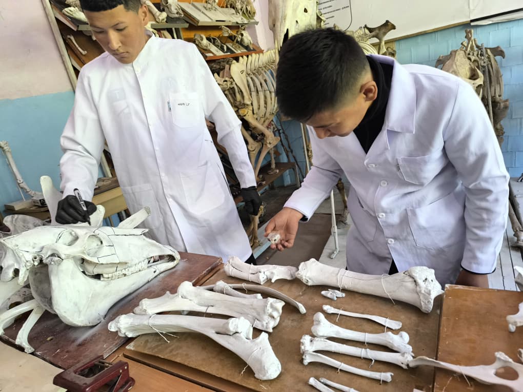 WhatsApp Image 2026-04-24 at 12.50.54 (1)