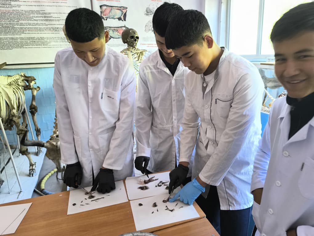 WhatsApp Image 2026-04-24 at 12.50.54 (2)