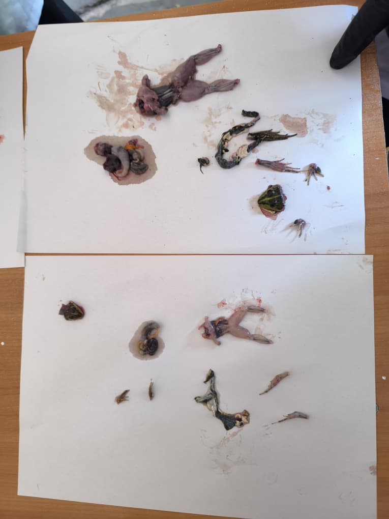 WhatsApp Image 2026-04-24 at 12.50.54 (3)