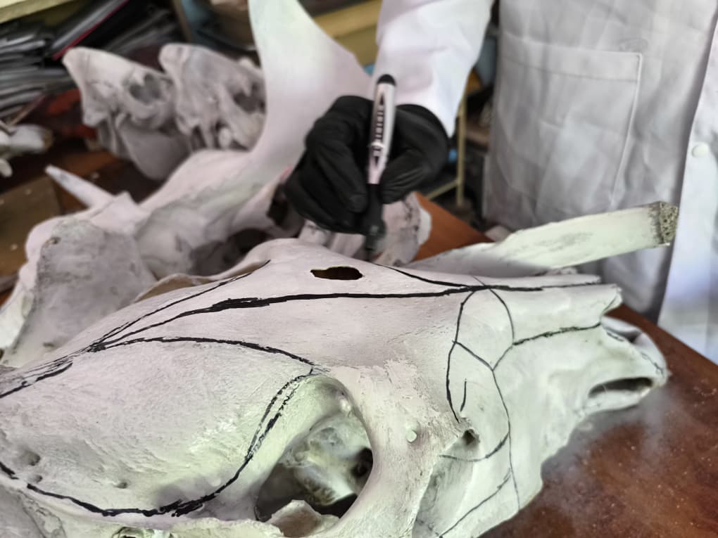 WhatsApp Image 2026-04-24 at 12.50.54