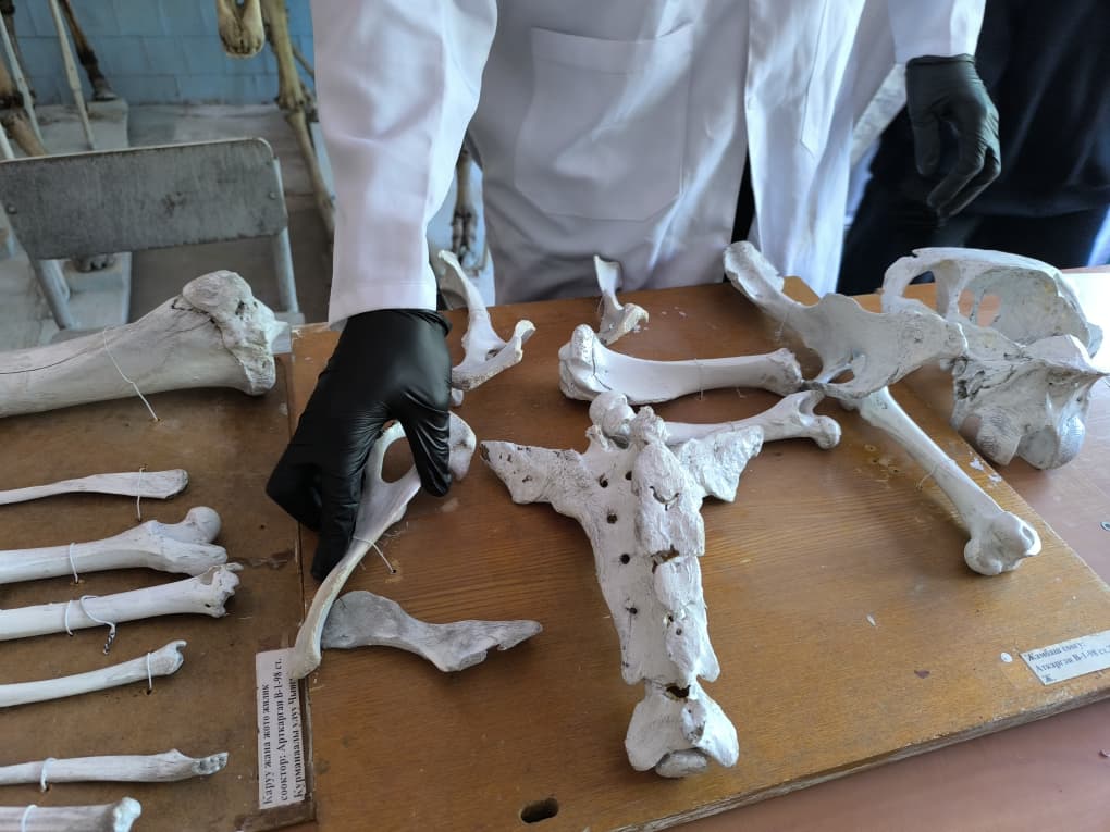 WhatsApp Image 2026-04-24 at 12.50.55