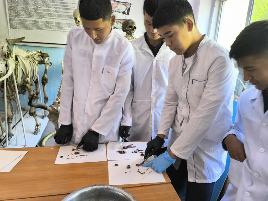 WhatsApp Image 2026-04-24 at 12.50.58