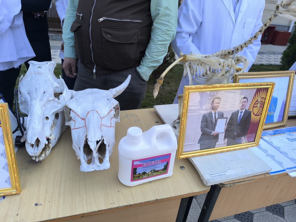 WhatsApp Image 2026-04-27 at 16.36.26