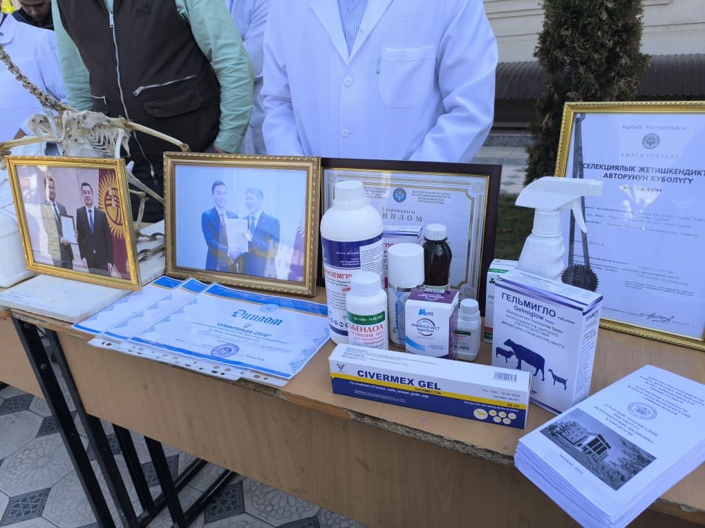 WhatsApp Image 2026-04-27 at 16.36.28