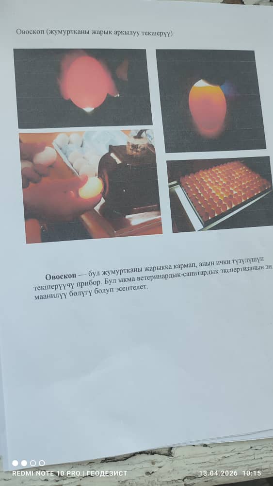 жу3