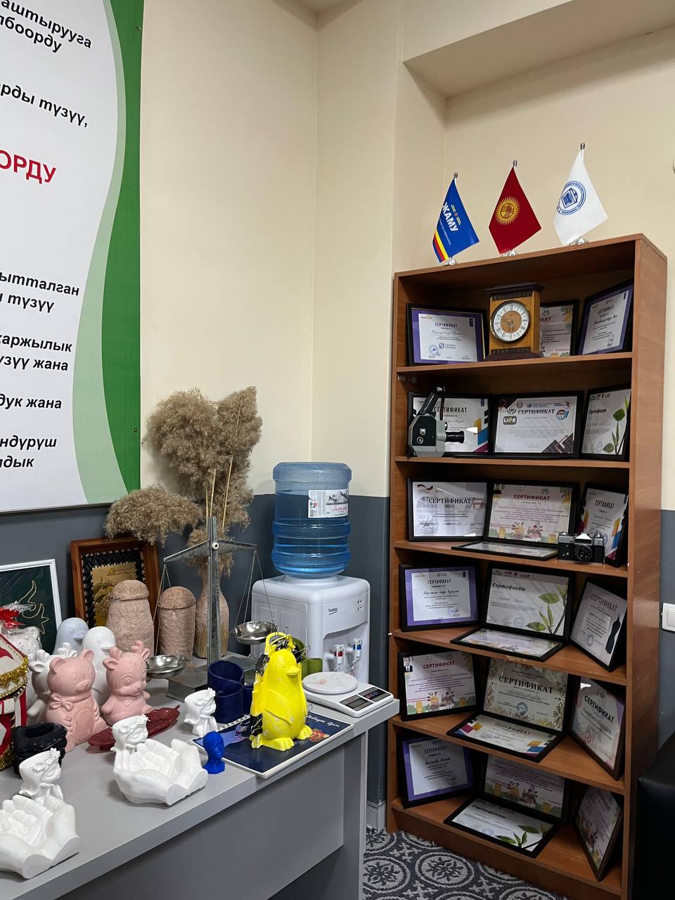 -5217791597536734235_121