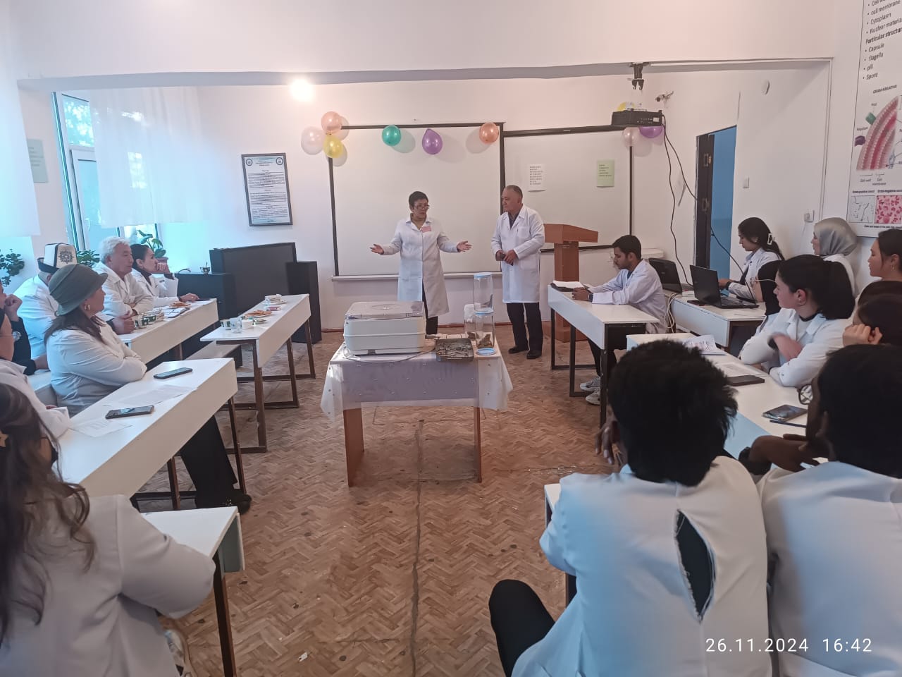 Изображение WhatsApp 2024-11-27 в 18.25.00_d8c4c187