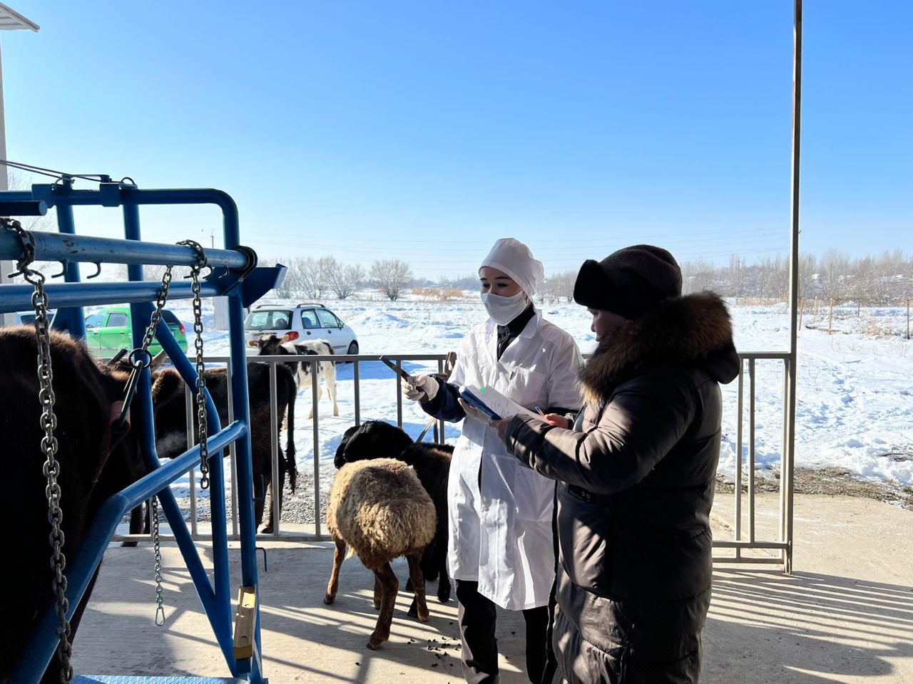 14d99fed-7e79-42ce-8c73-7ba05d290148