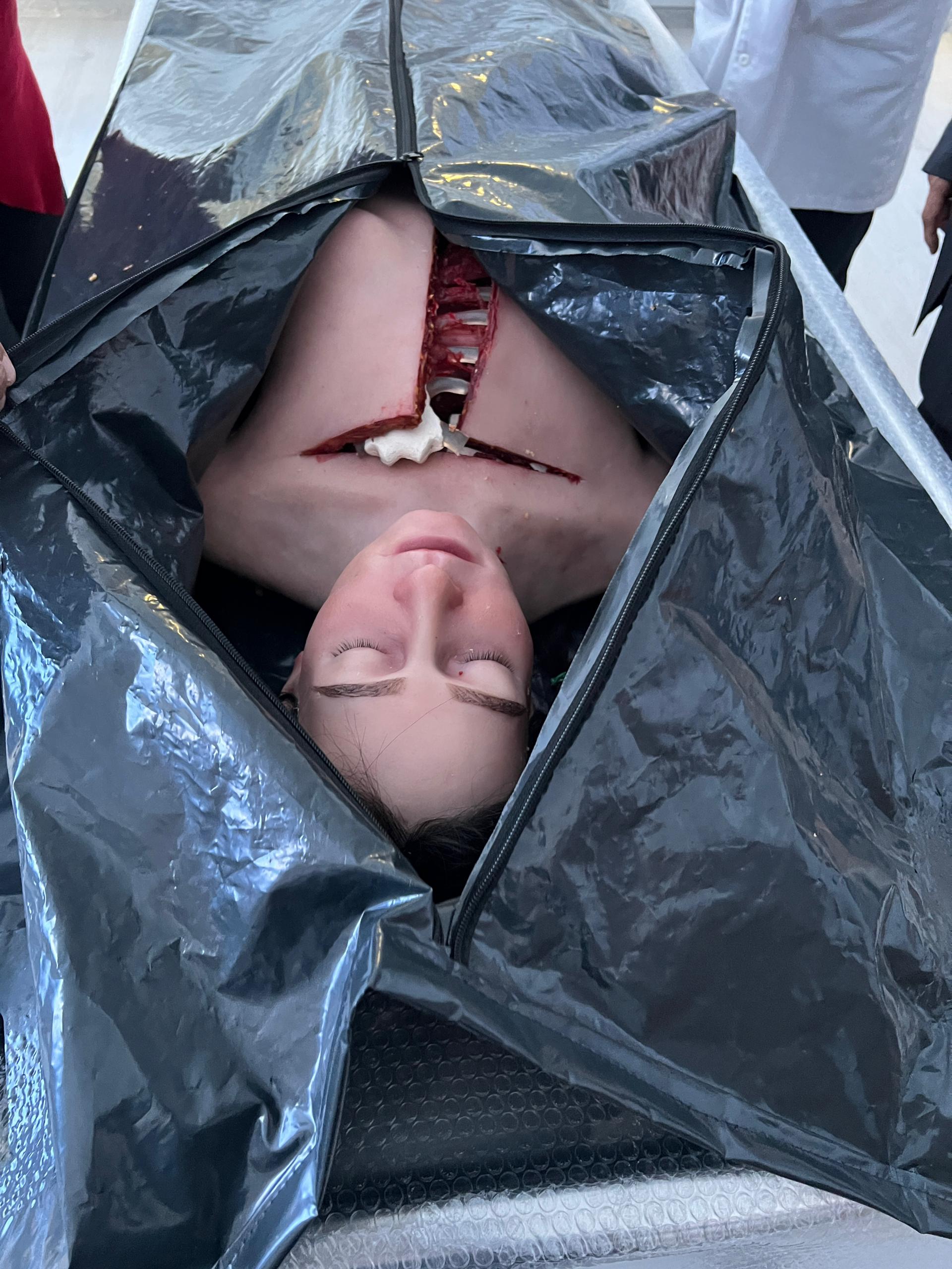 Изображение WhatsApp 2024-12-18 в 19.12.46_668d1ae1