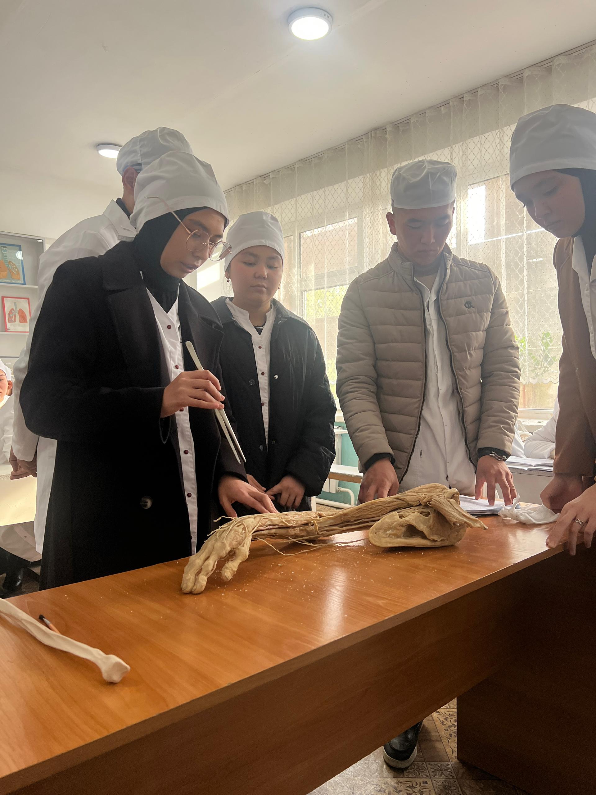 Изображение WhatsApp 2024-12-05 в 16.23.42_fc6ecc53