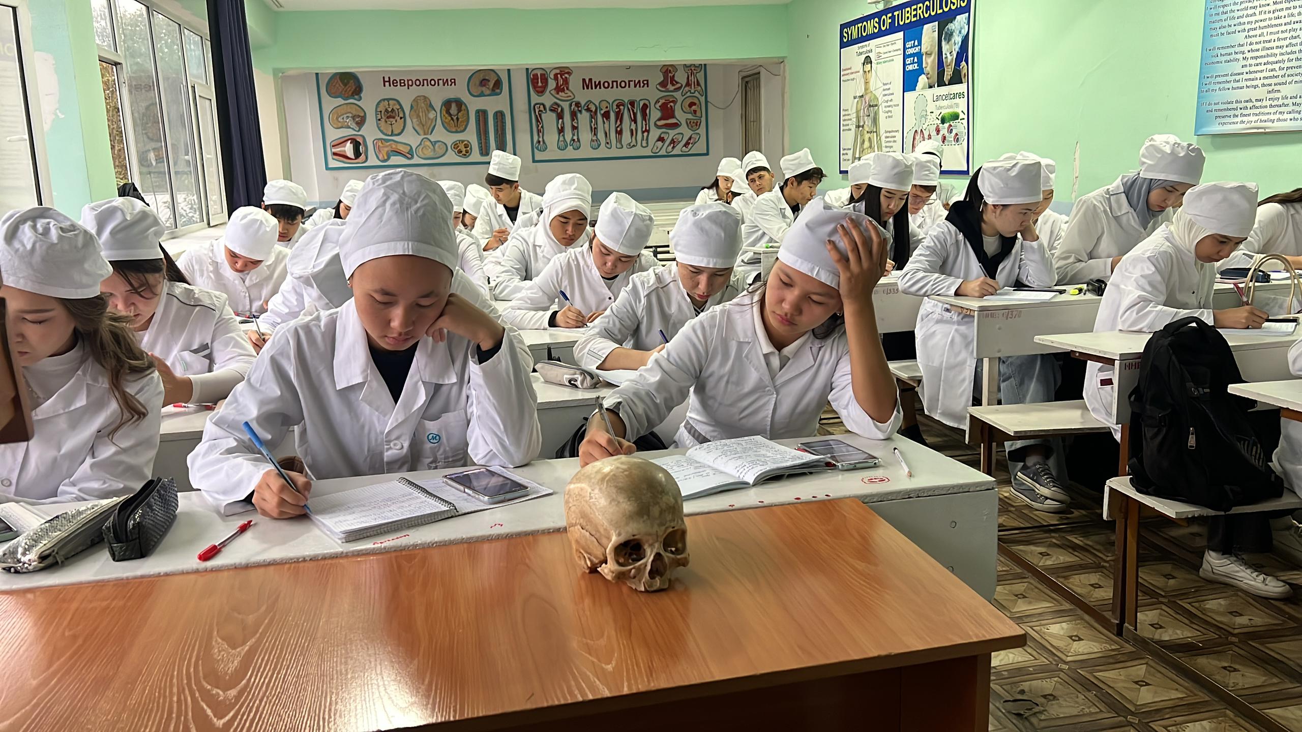 Изображение WhatsApp 2024-12-05 в 16.23.49_a23bfbab