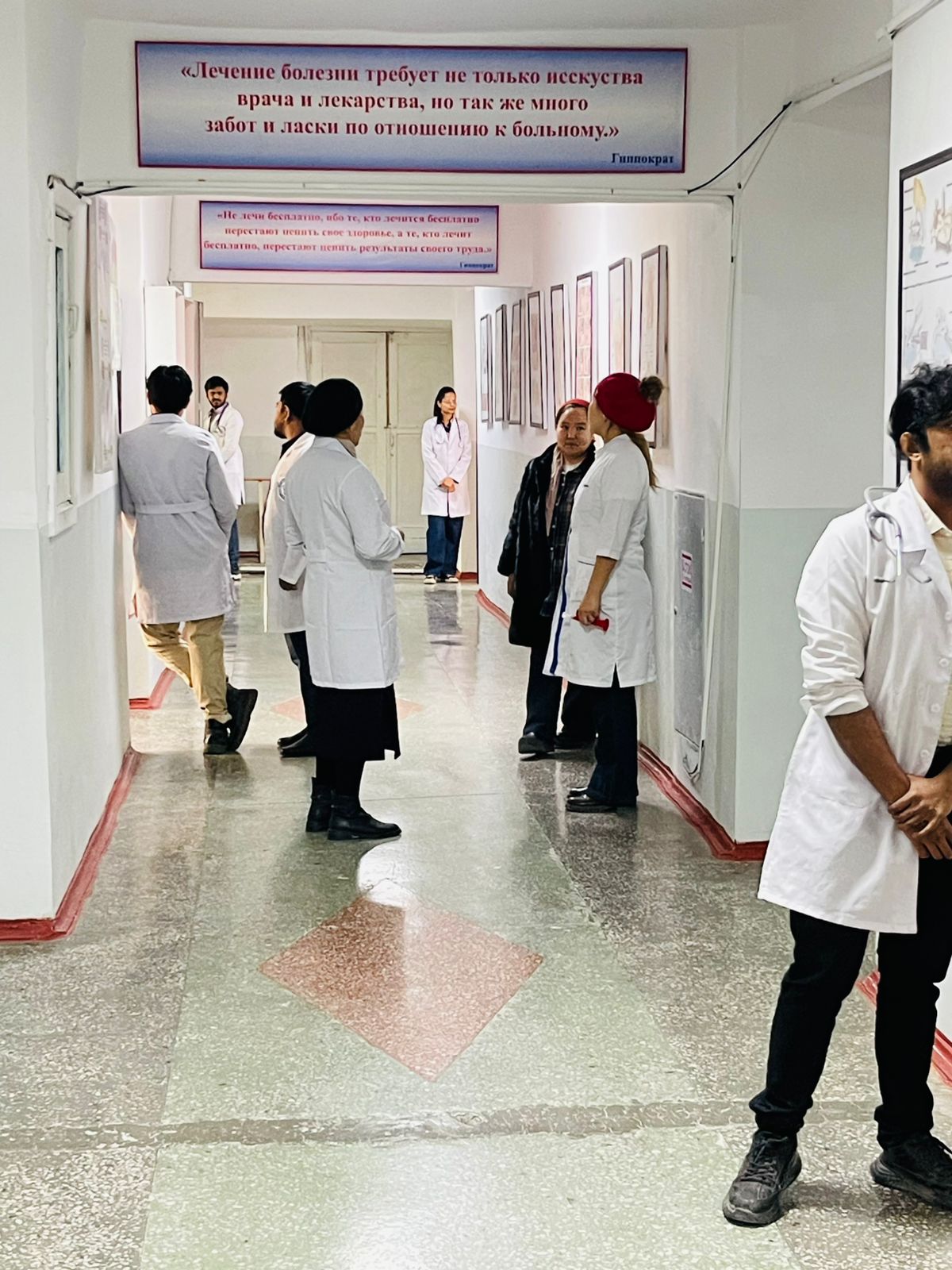 Изображение WhatsApp 2025-03-05 в 10.51.45_e2586352