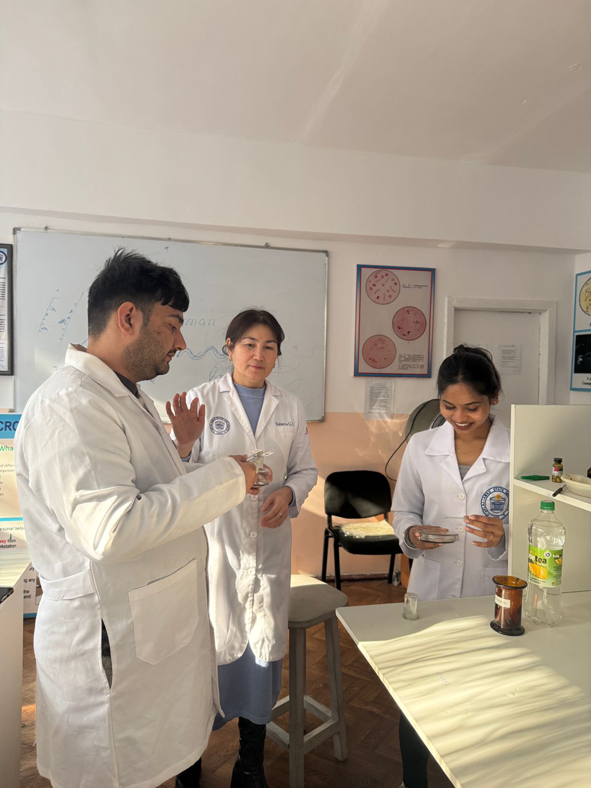 Изображение WhatsApp 2025-03-10 в 14.17.11_eeeb7146