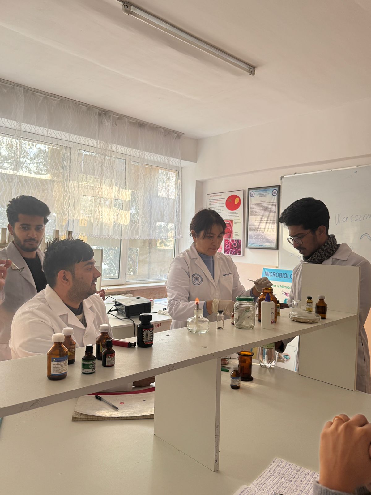 Изображение WhatsApp 2025-03-10 в 14.17.12_8f51c95d