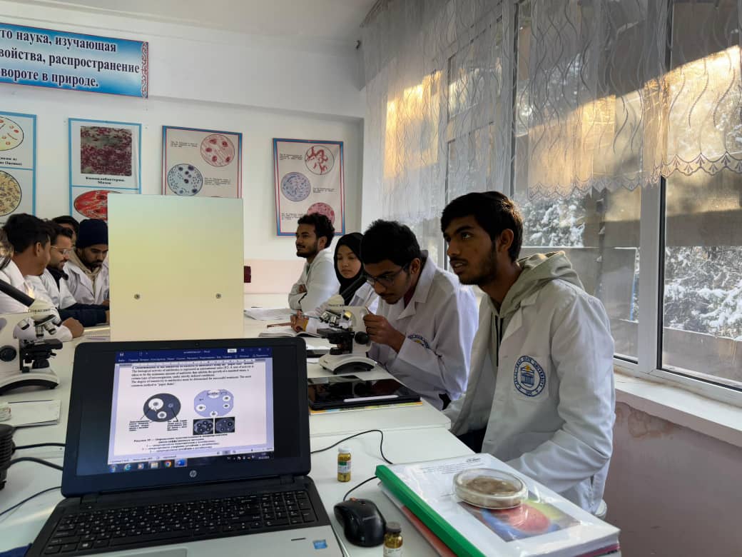 Изображение WhatsApp 2025-03-10 в 14.17.12_aa3d52e2