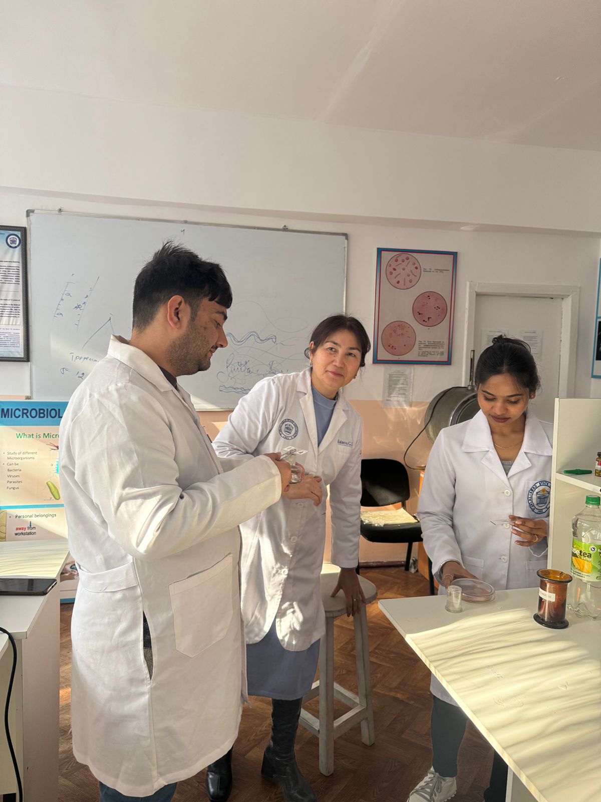 Изображение WhatsApp 2025-03-10 в 14.17.12_c09d87cb