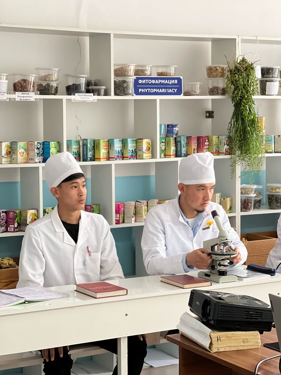 Изображение WhatsApp 2025-04-14 в 11.31.17_78faac35