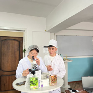 Изображение WhatsApp 2025-04-14 в 11.31.19_0601c701