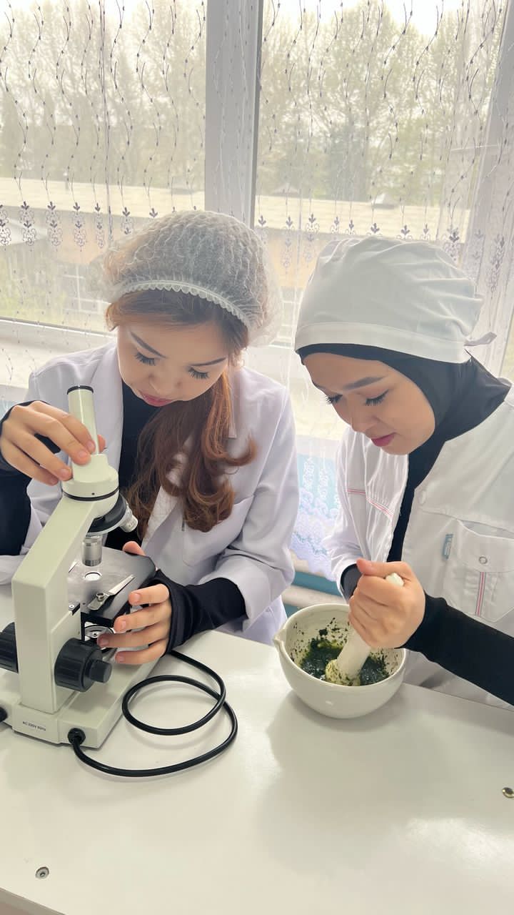 Изображение WhatsApp 2025-04-14 в 11.33.44_3523147e