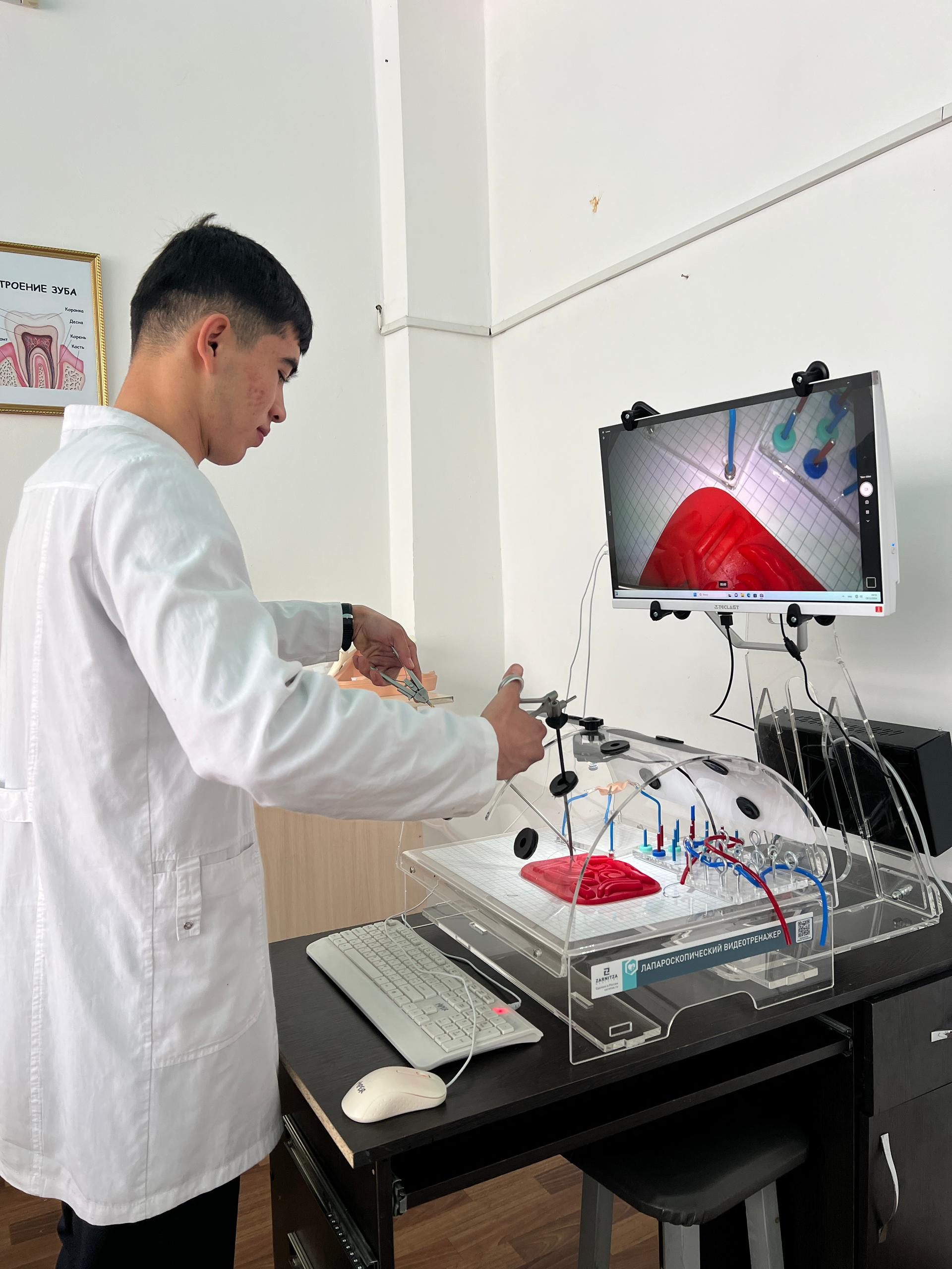 Изображение WhatsApp 2024-12-21 в 13.15.14_c5bfd025